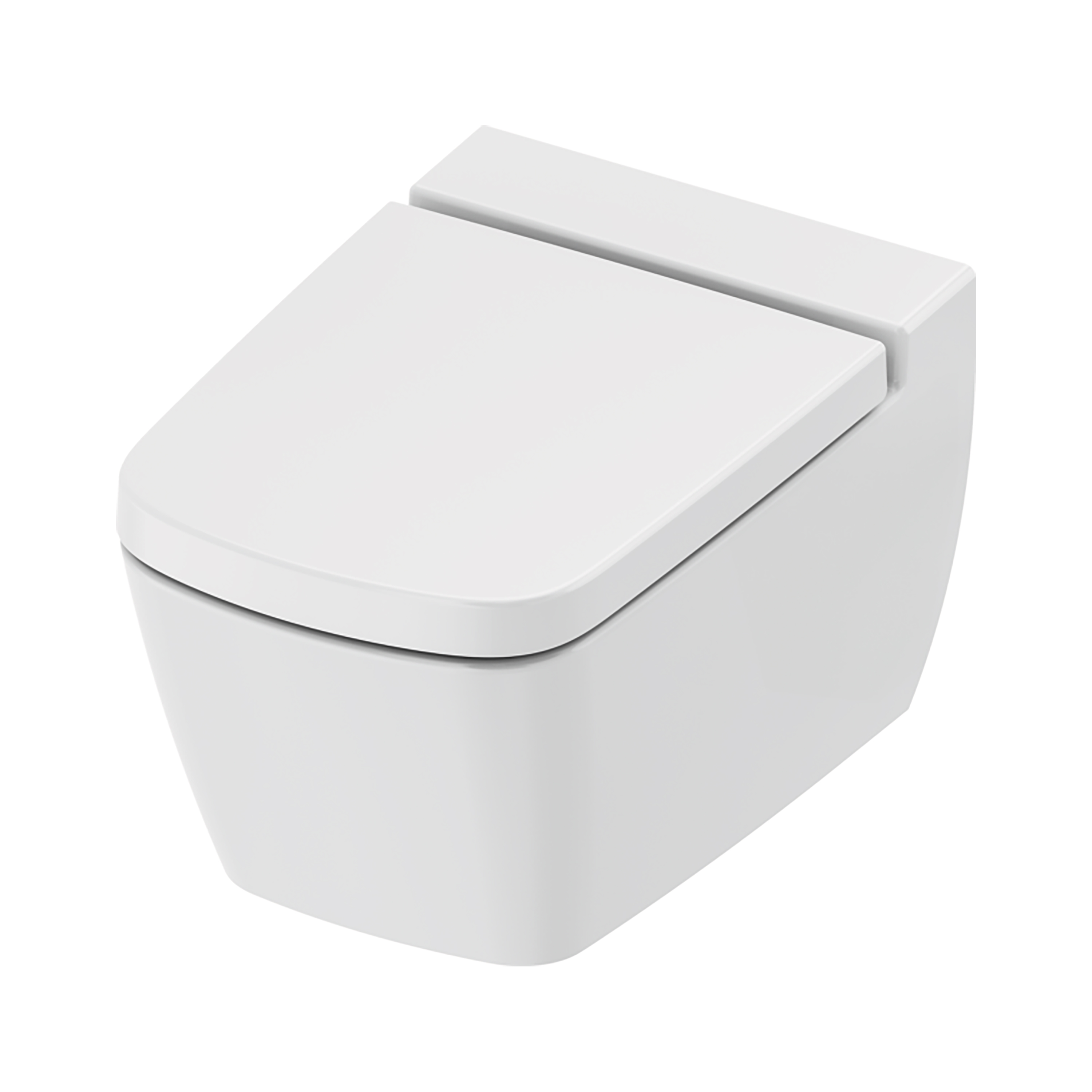 TECENEO HANGTOILET MET BIDET - MET BIDETKRAAN - KOUD WATER - MET ZITTING - 54 CM - GLANZEND WIT