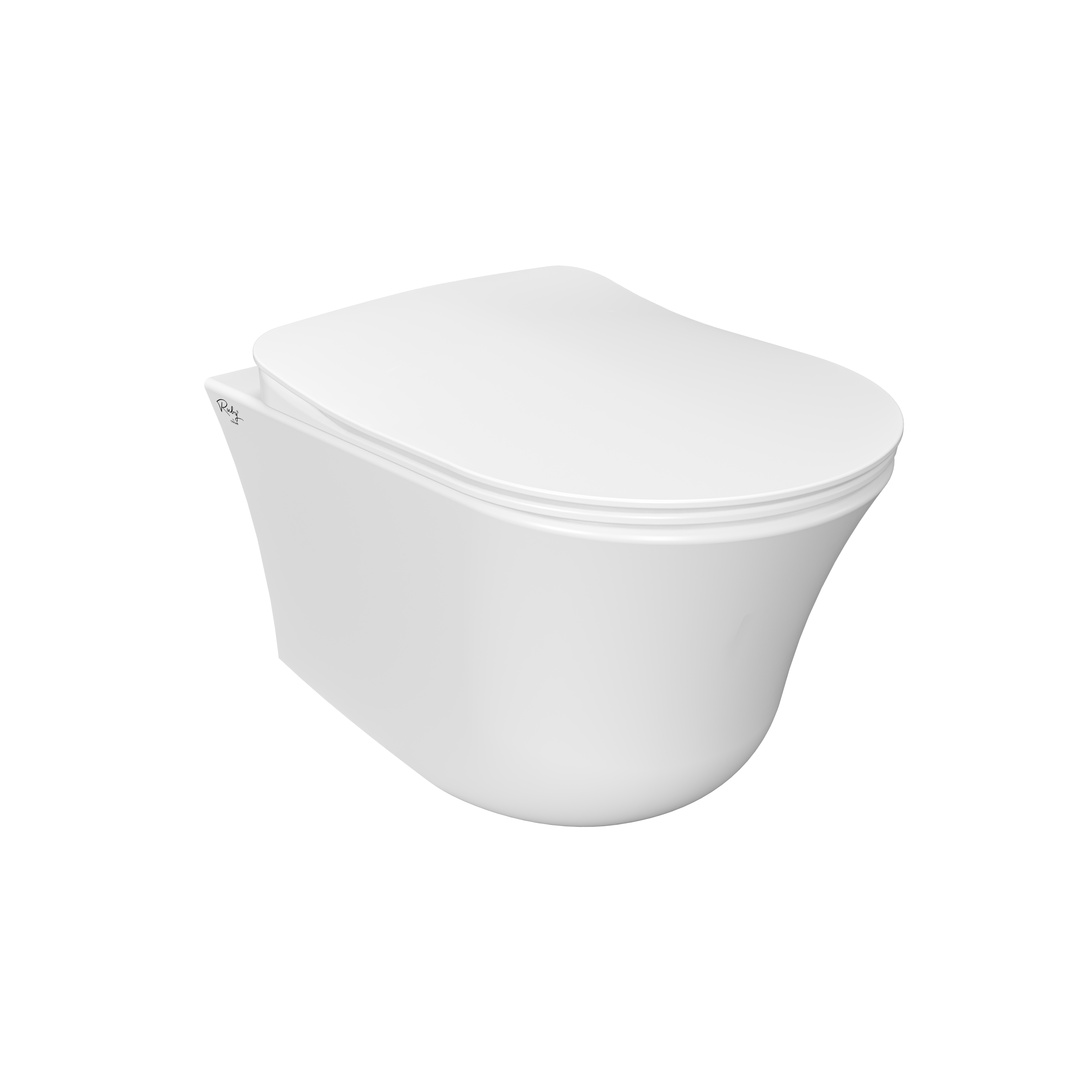 CREAVIT NORA WALL HUNG TOILET WITH BIDET - 360° FLUSH - RIMLESS - WITHOUT SEAT - GLOSSY WHITE